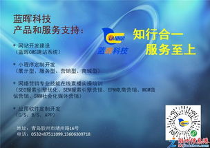 科技賦能未來 網(wǎng)站、小程序與軟件開發(fā)引領(lǐng)應(yīng)用服務(wù)新浪潮