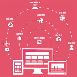 金華電商網站建設優選指南 科技推廣與應用服務的核心伙伴